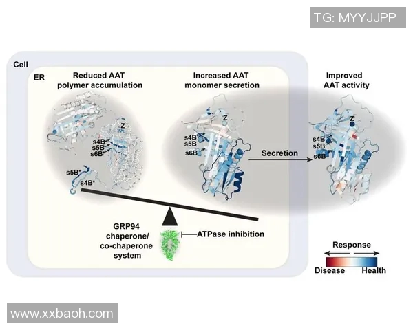 探索16vs的魅力与潜力揭示其在现代科技中的应用与发展趋势
